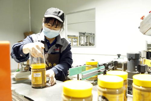 家門口的增收密碼 河北邢臺(tái)“微工廠”點(diǎn)燃正餐服務(wù)就業(yè)新引擎